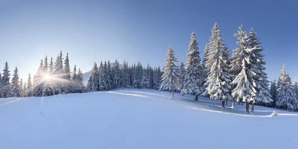 Hotel Club Le Risoux Bois-d'Amont Bagian luar foto